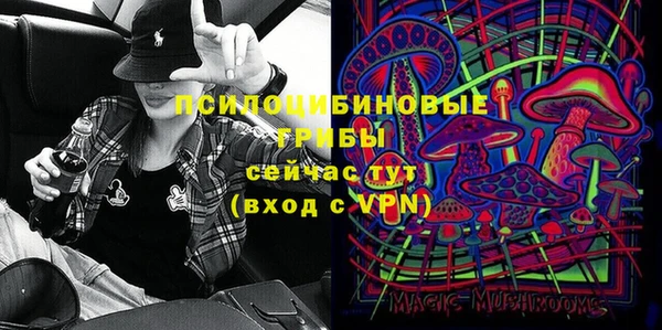 ПСИЛОЦИБИНОВЫЕ ГРИБЫ Армянск