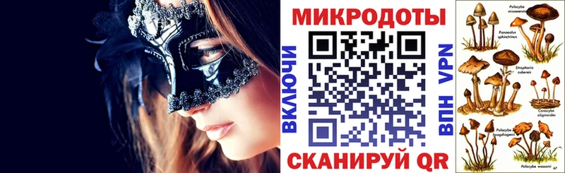 кракен ONION  Краснослободск  Псилоцибиновые грибы Psilocybe 
